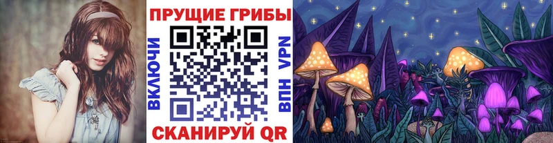 Псилоцибиновые грибы Psilocybine cubensis  Каргополь 
